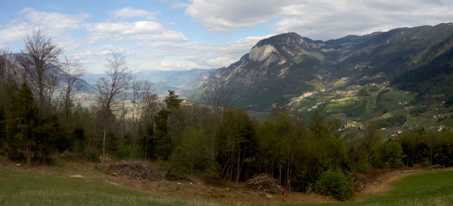 Photo 2 de Maso Salamon - Salamonhof