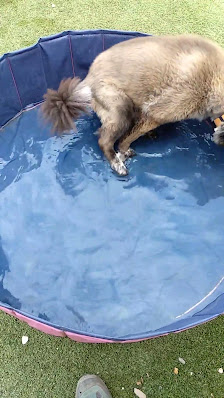 Photo 2 de Torregassa