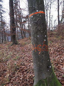 Photo 1 de Žažar