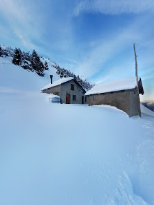 Photo 2 de Podenzoi