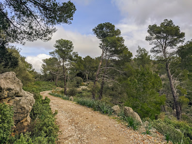Photo 1 de Coll des Grau