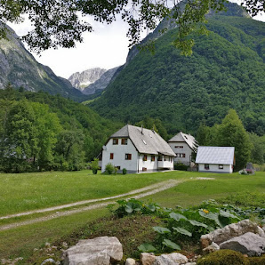 Photo 2 de Bavsica