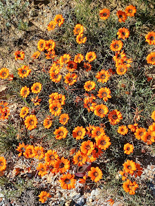 Photo 2 de Pakhuis Pass