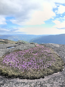 Photo 2 de Alto de Covide