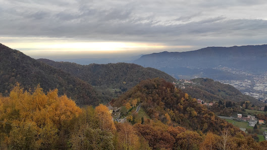 Photo 1 de Boccio