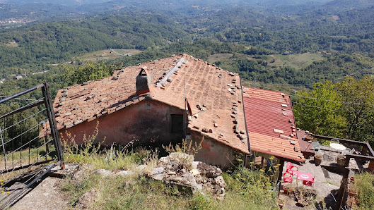 Photo 2 de Bibola