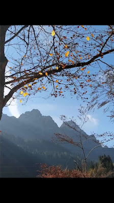 Photo 2 de Givigliana