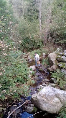 Photo 3 de Alpe Blitz