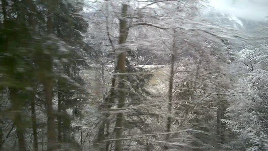 Photo 3 de Alp Oltscheren
