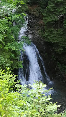 Photo 3 de Davča