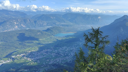 Photo 3 de Monte Penegal