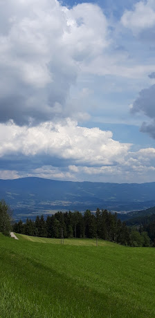 Photo 1 de Reisberg