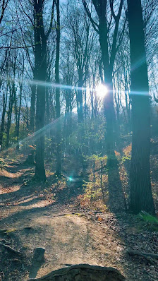 Photo 3 de Plabutsch