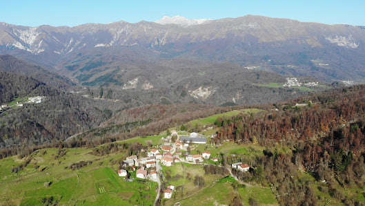 Photo 2 de Robedischis