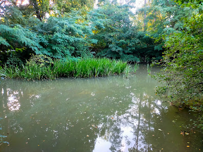 Photo 1 de Weinzierl am Wald
