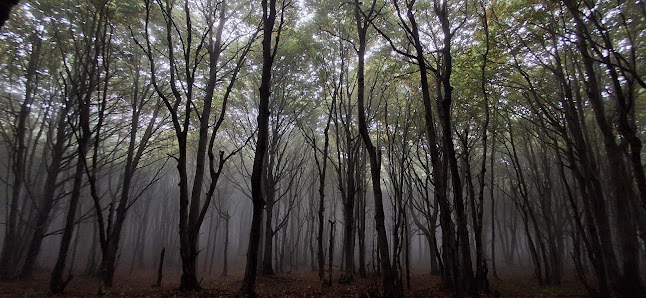 Photo 2 de Monte Beigua