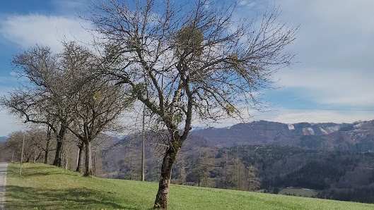 Photo 1 de Oberschlierbach