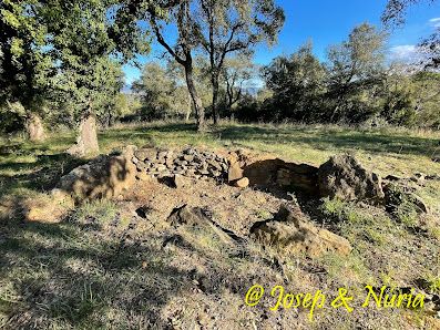 Photo 1 de Puig de Sant Dalmau - la Mota