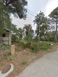Photo 2 de Puig de Sant Dalmau - la Mota