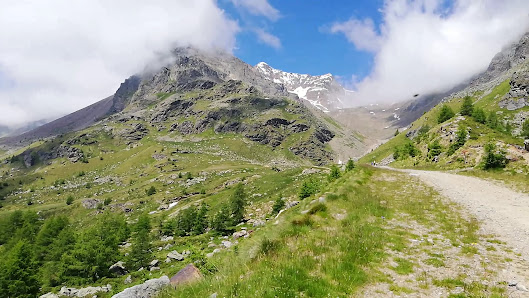 Photo 3 de Pejo Paese