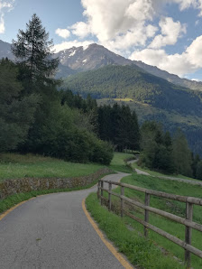 Photo 2 de Celledizzo