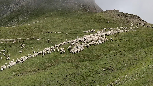 Photo 3 de Port d'Aula