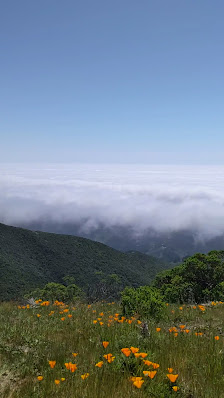 Photo 3 de Scarpet Peak