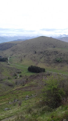 Photo 1 de Col Inharpu