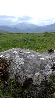 Photo 2 de Col Inharpu