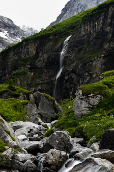 Photo 1 de Elm - Wicheln