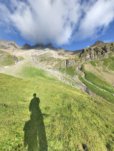 Photo 2 de Elm - Wicheln