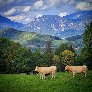 Photo 1 de Raach am Hochgebirge