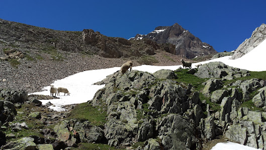 Photo 1 de Trockenalp