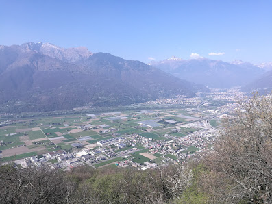 Photo 2 de Pianturin