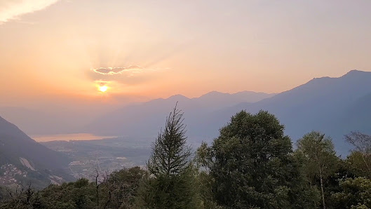 Photo 3 de Pianturin