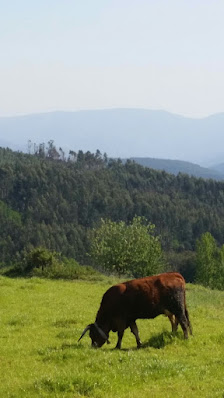 Photo 1 de Vilar de Arca