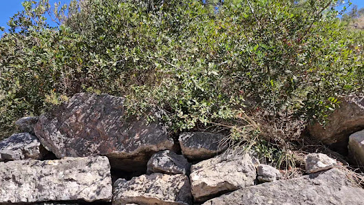 Photo 2 de Alto de la Cruz