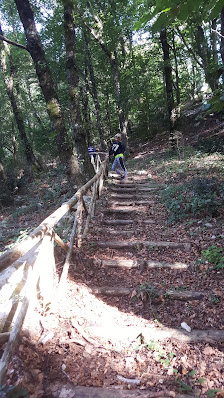 Photo 3 de Passo di Vesalo