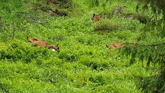 Photo 2 de Lago di Fontana Bianca