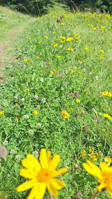 Photo 2 de Col de la Croix