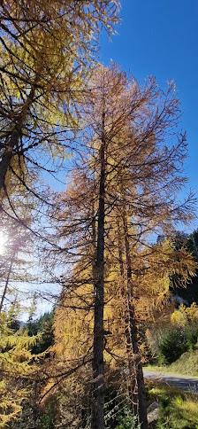 Photo 3 de Col de la Croix