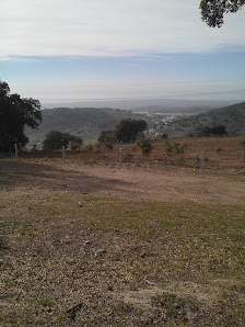 Photo 1 de Amêndoeira