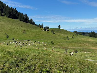 Photo 1 de Schuttannen