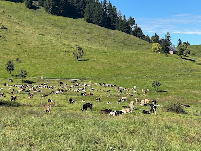 Photo 2 de Schuttannen