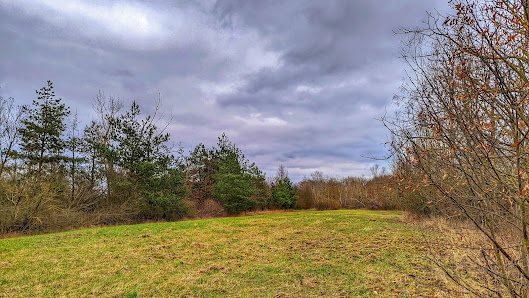 Photo 1 de Palmenberg