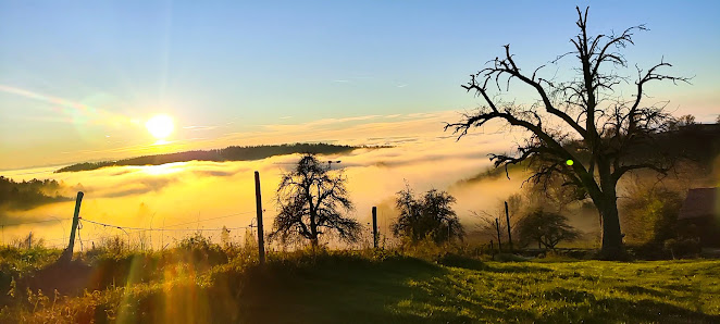 Photo 3 de Buchenegg