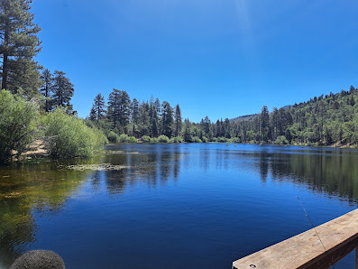 Photo 1 de Jenks Lake