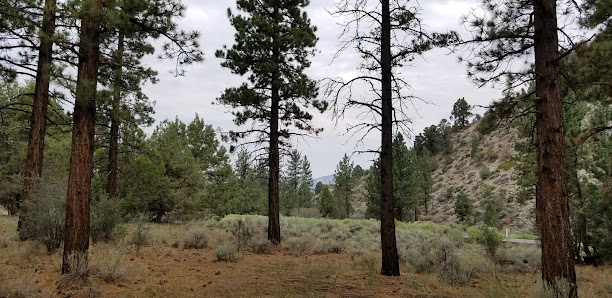 Photo 2 de Jenks Lake