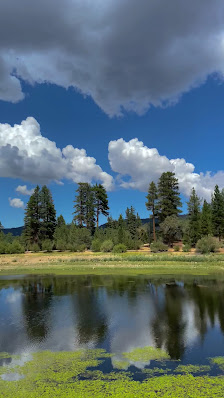 Photo 3 de Jenks Lake