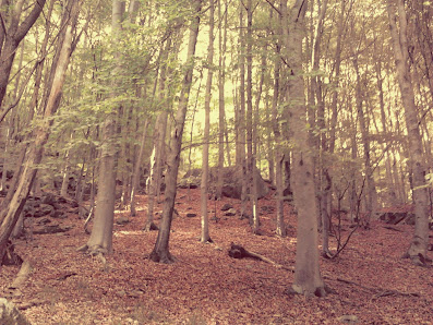 Photo 1 de Alpe Piane